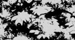 Swap on the Beach !!【単話】 7ページ