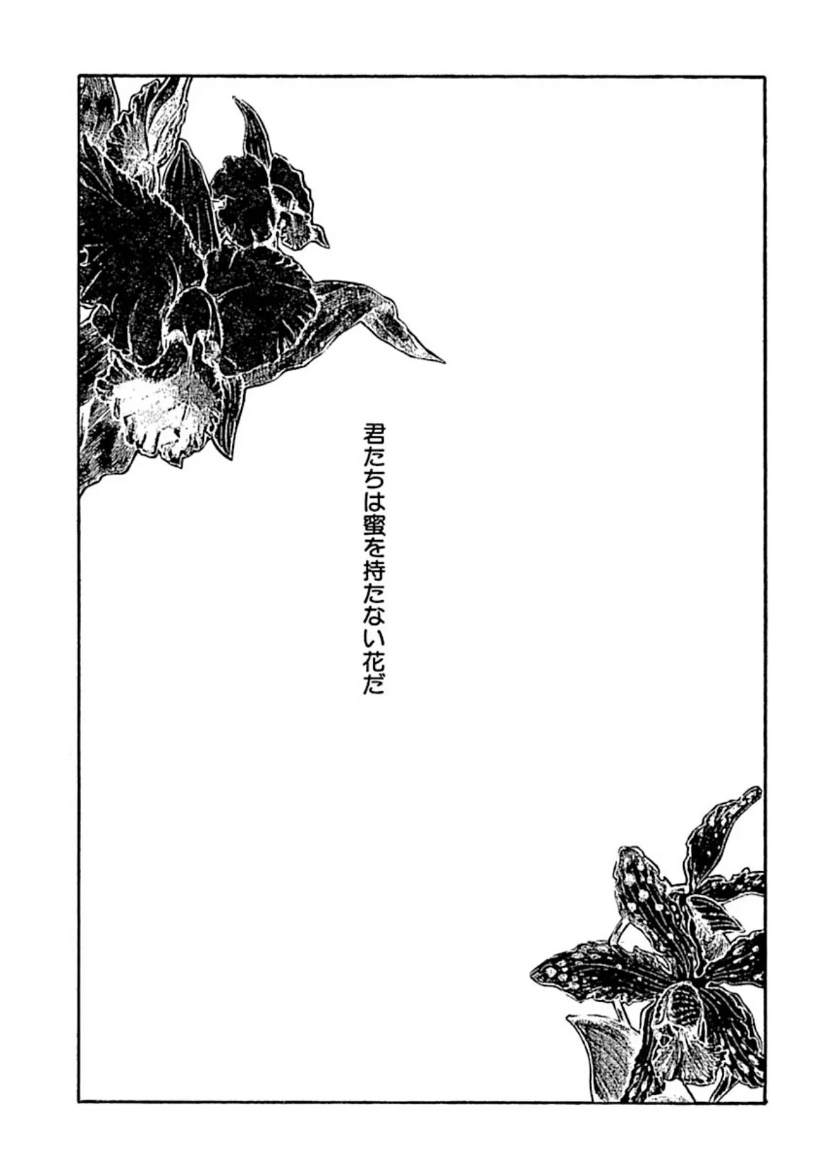 姉の柔肌!?アソコを剥き出しにして!! 5ページ