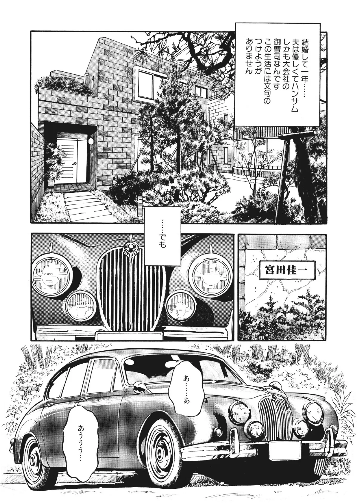 人妻夢狂い (6) 4ページ