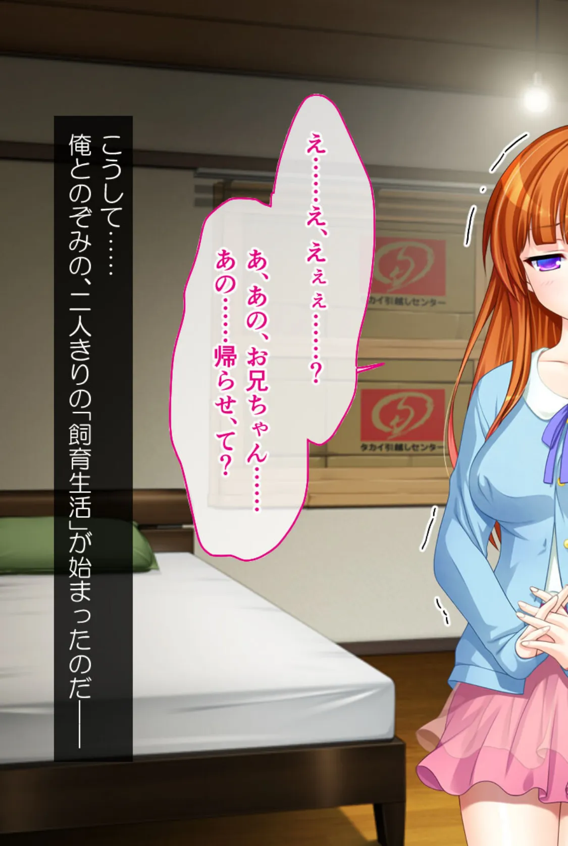 監禁愛 〜僕と妹の禁じられたSEX(あそび)〜 3ページ