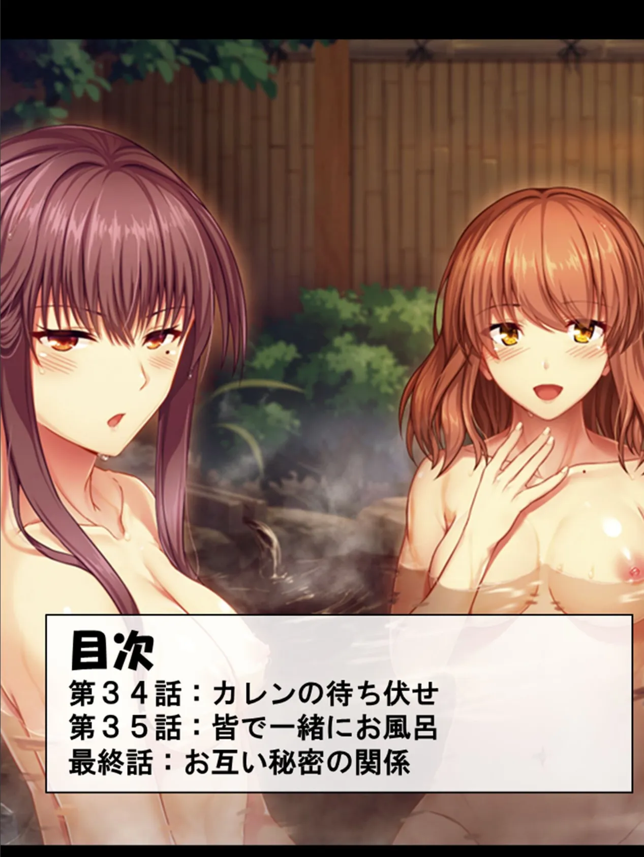 やりとこ! 〜いとこのお姉ちゃんとやり過ぎハーレム〜 第12巻 2ページ