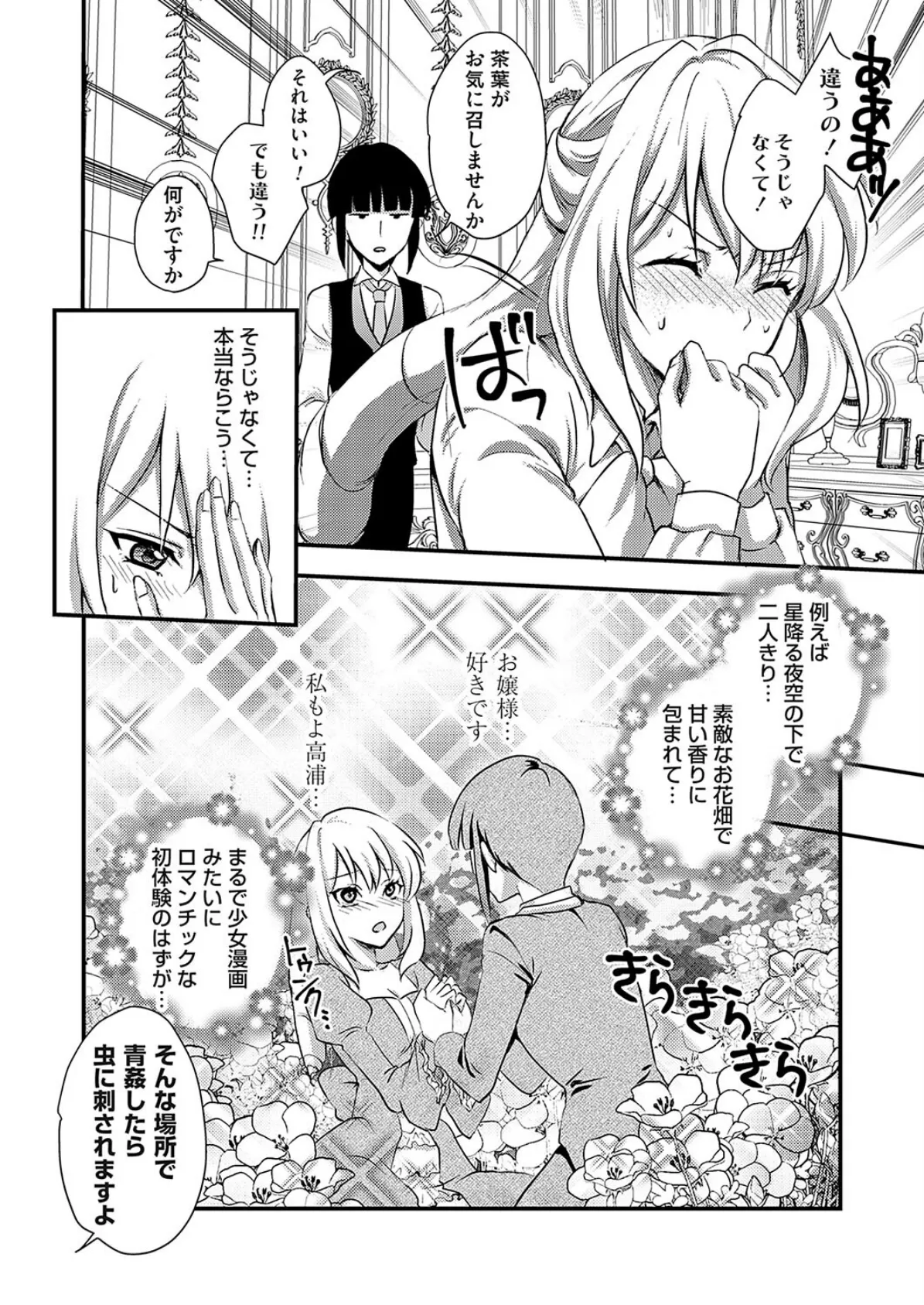 お嬢様は可憐に抱かれたい!!後編 2ページ