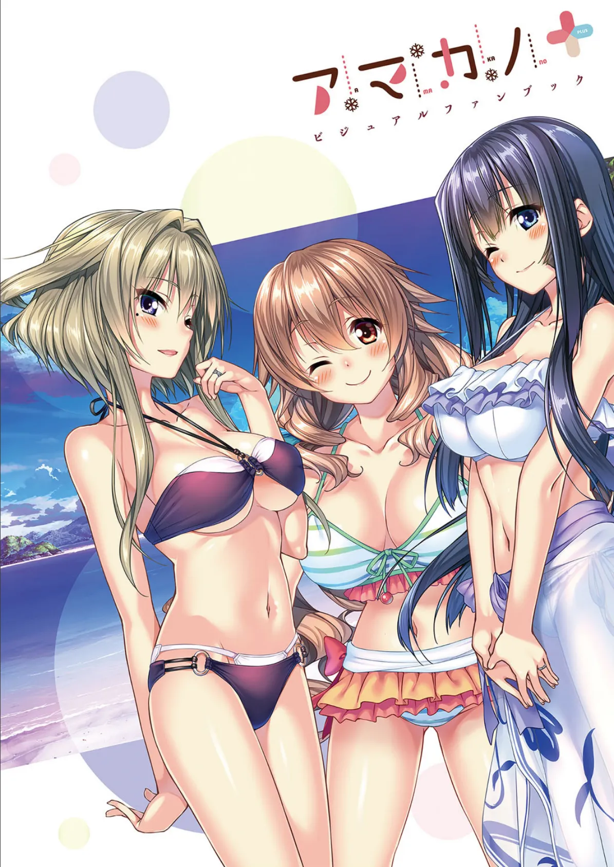 アマカノ+ ビジュアルファンブック 3ページ