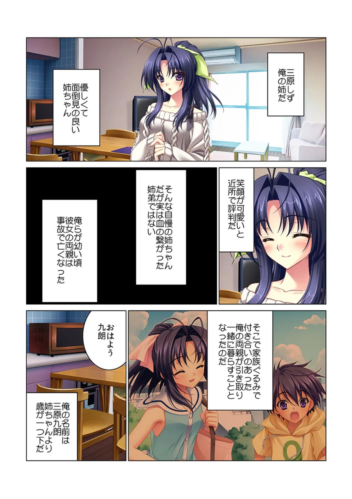 姉が俺の子種を受精したいと言ったので〜念の為、もう1回ナカで出しとく?〜【フルカラー】 3ページ