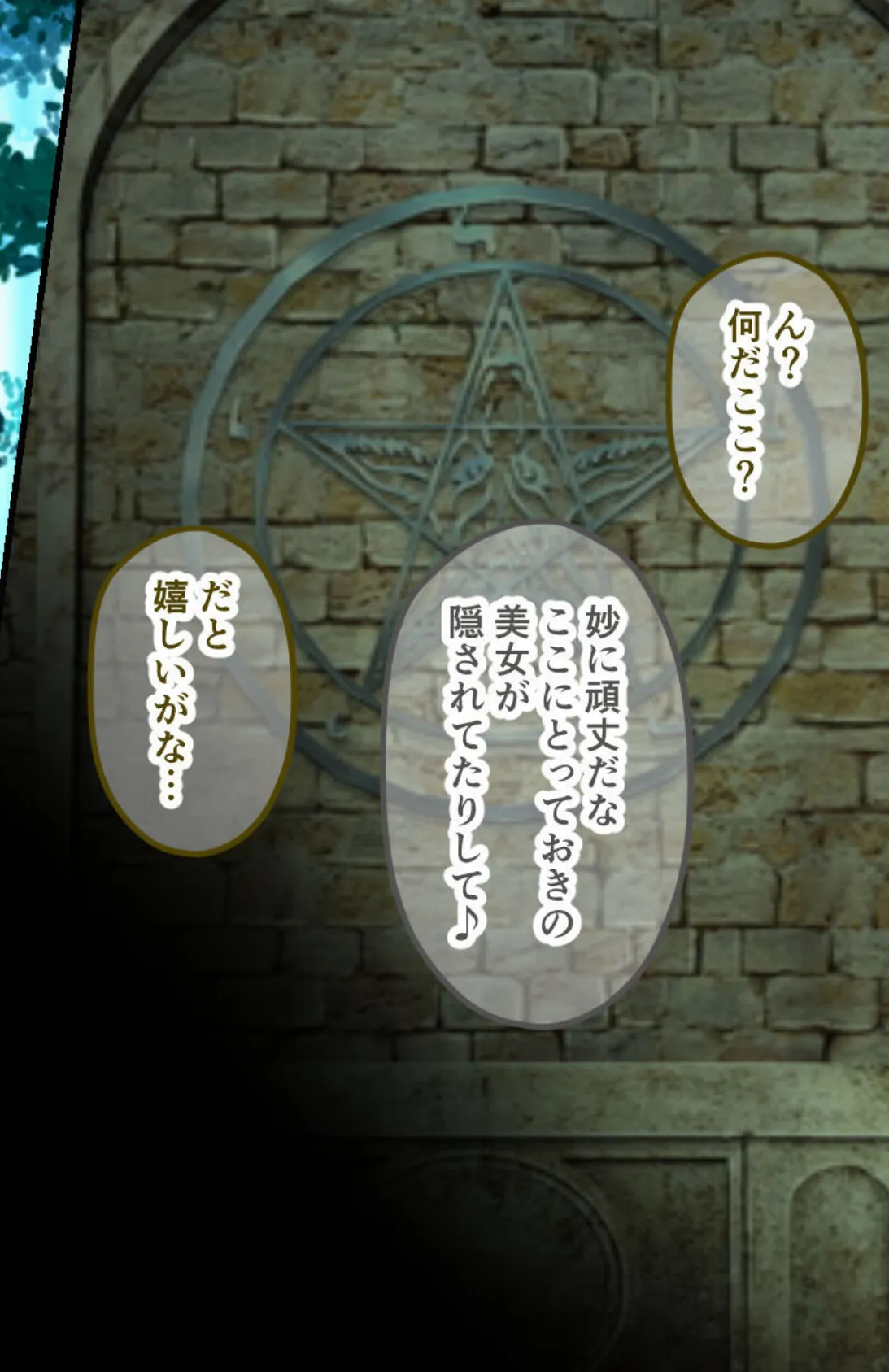 女魔法剣士と転生エルフの性受難 〜徹底的に可愛がるけど…壊れないでね?〜【CG集コレクション ミニ】 5ページ