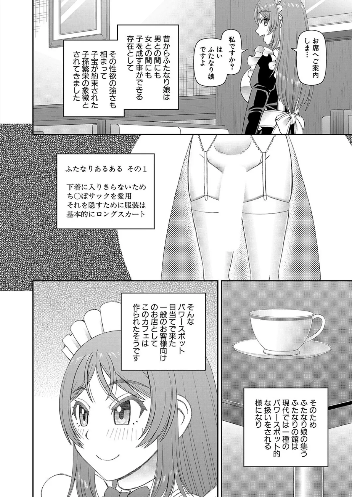 ふたなりの館へようこそ〈第2話〉 (樺島あきら) 2ページ