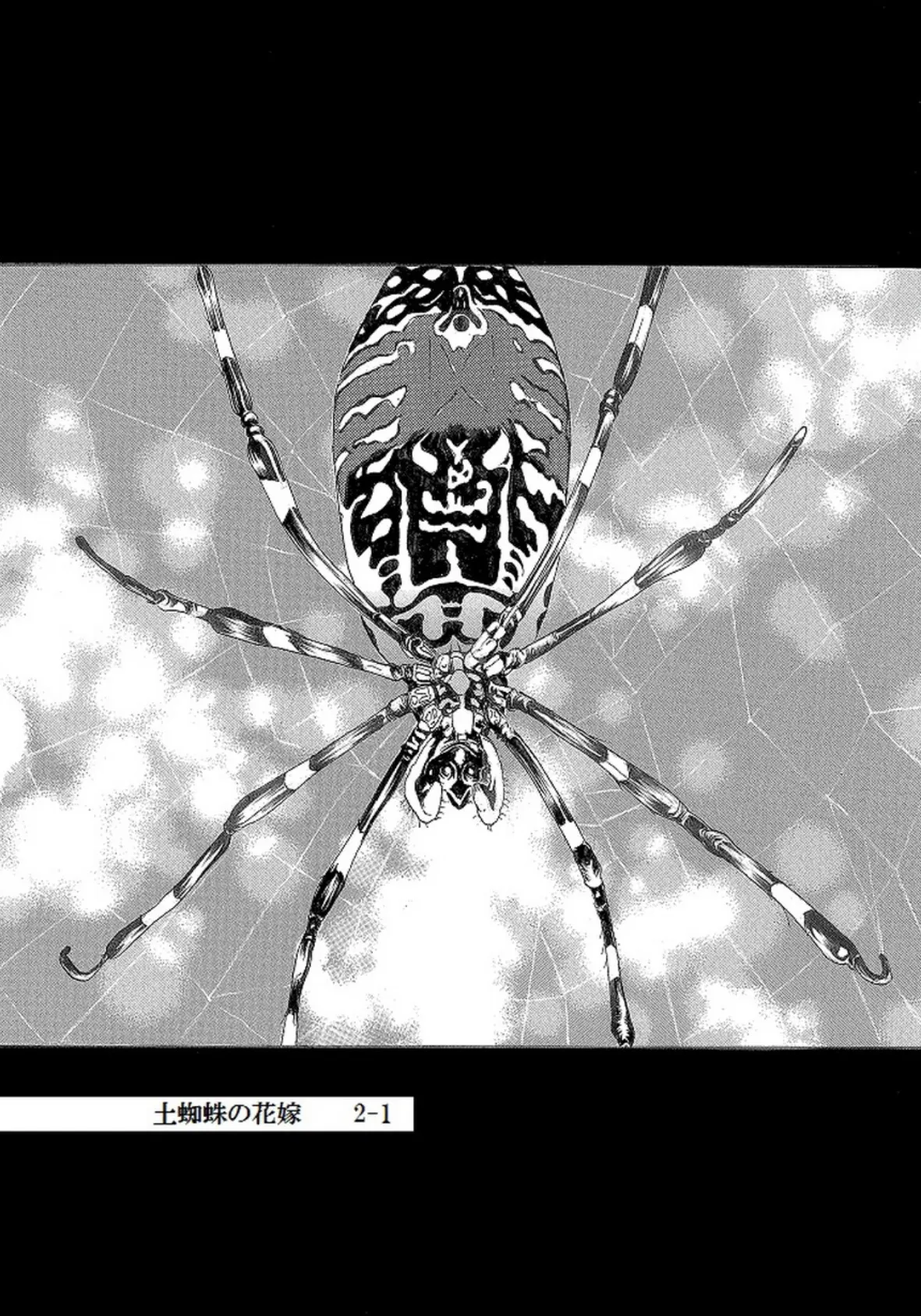 土蜘蛛の花嫁 第二章 2-1 3ページ