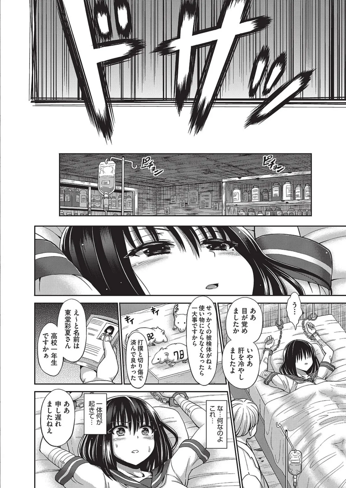 ヒケンタイ 6ページ