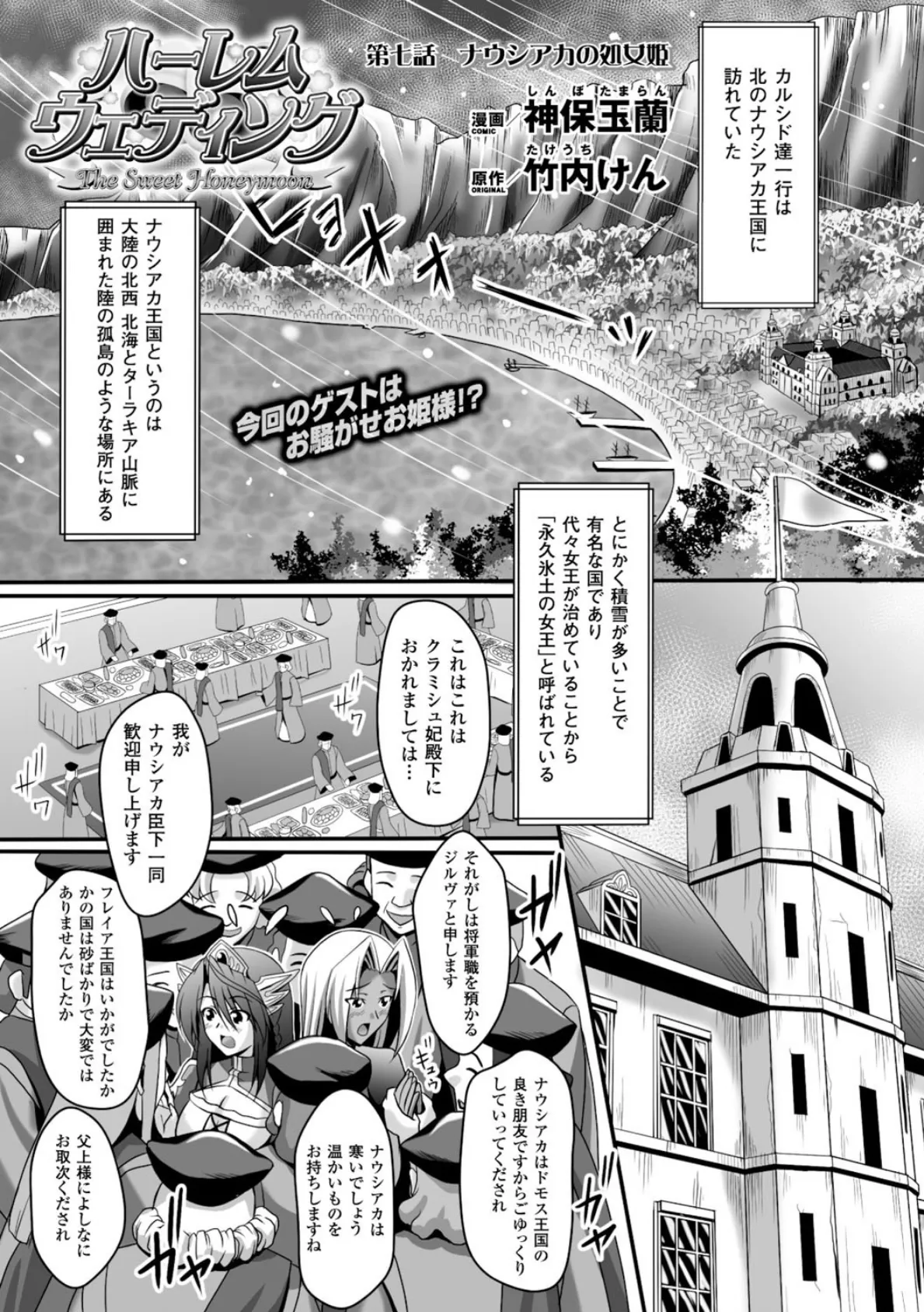 メガミクライシス Vol.14 5ページ