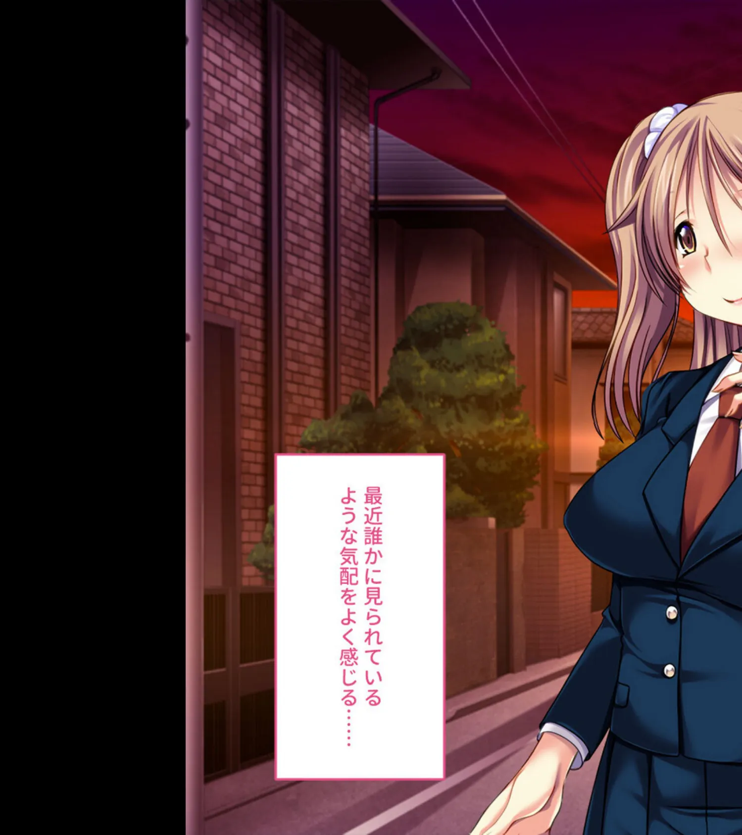 純真ヒロインの淫らな成れの果て 〜正義を塗り潰された雌の無様な顔よ〜【CG集コレクション ミニ】 4ページ