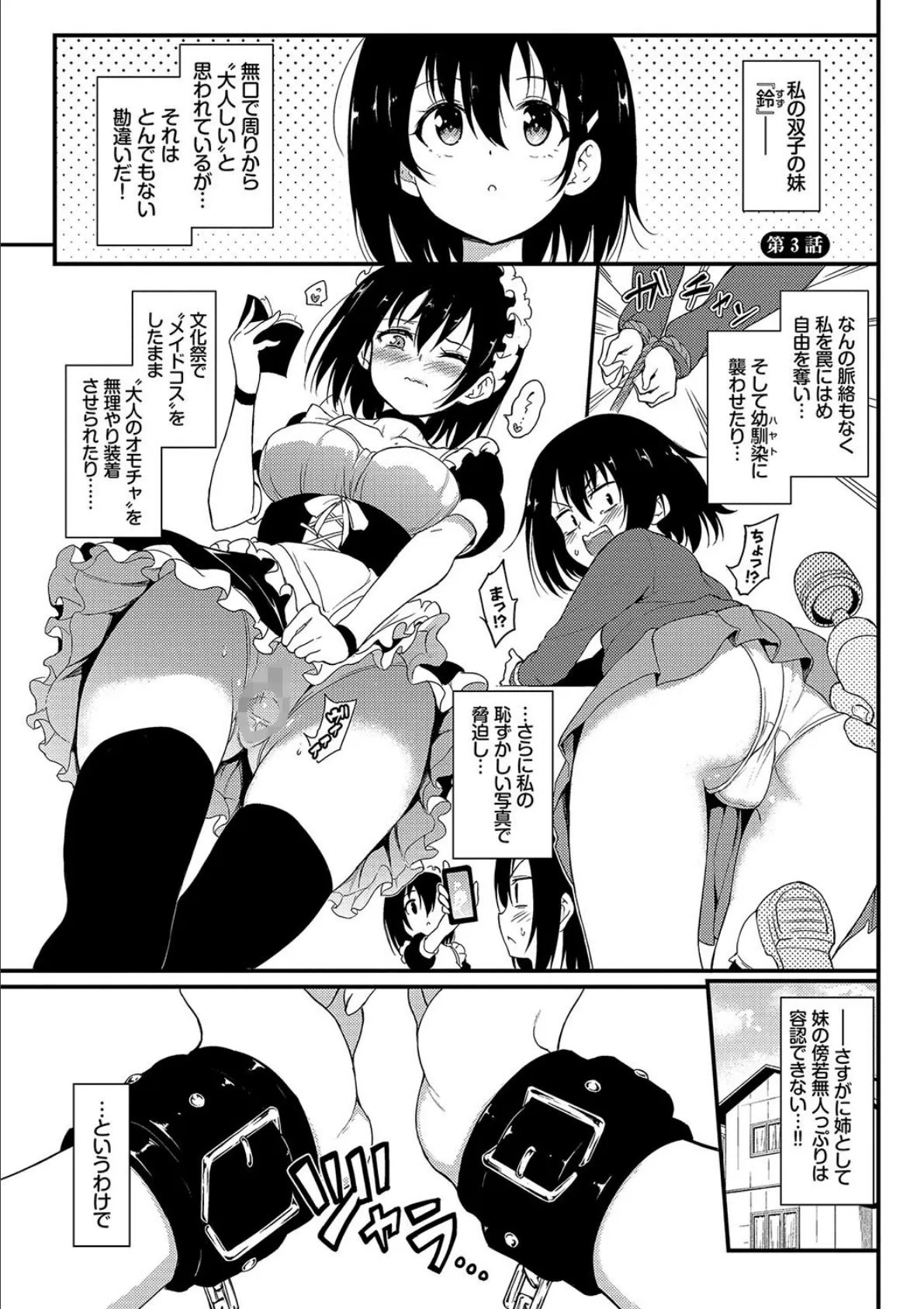 楓と鈴(単行本)【デジタル特装版】【FANZA限定版】 28ページ