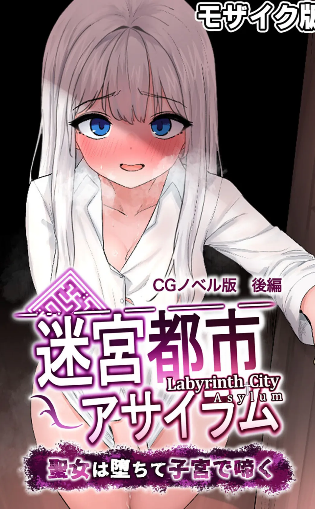 迷宮都市アサイラム CGノベル版 モザイク版 後編 〜聖女は堕ちて子宮で啼く〜