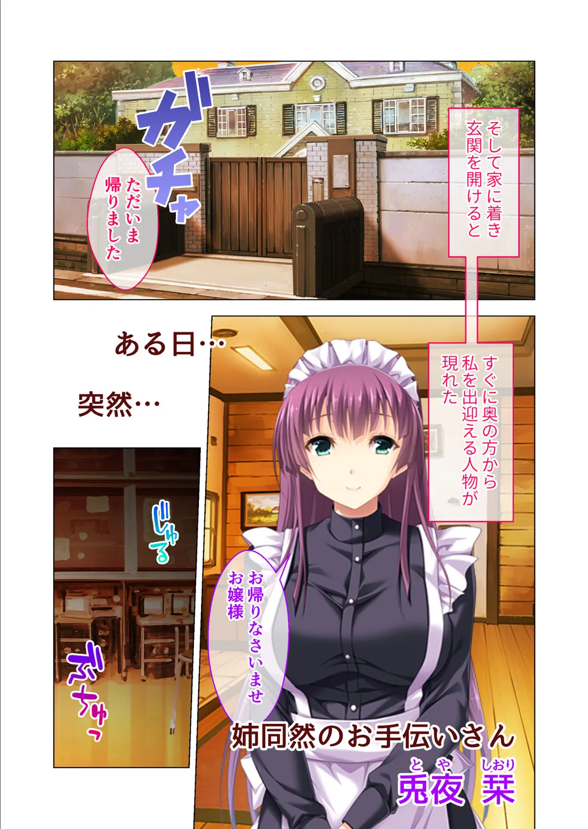 虜ノ鎖 〜処女たちを穢す淫らな楔〜 モザイク版 5ページ