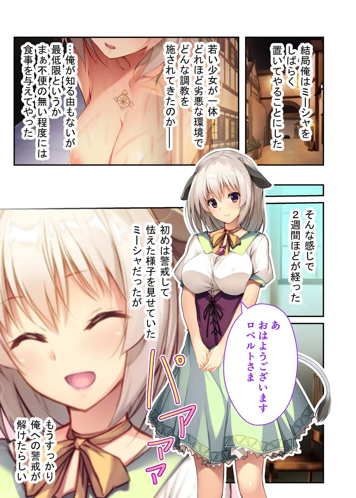 けもみみ娘といちゃラブSEXフルコース 〜一生わたしをペットにしてネ?〜 モザイク版 5ページ