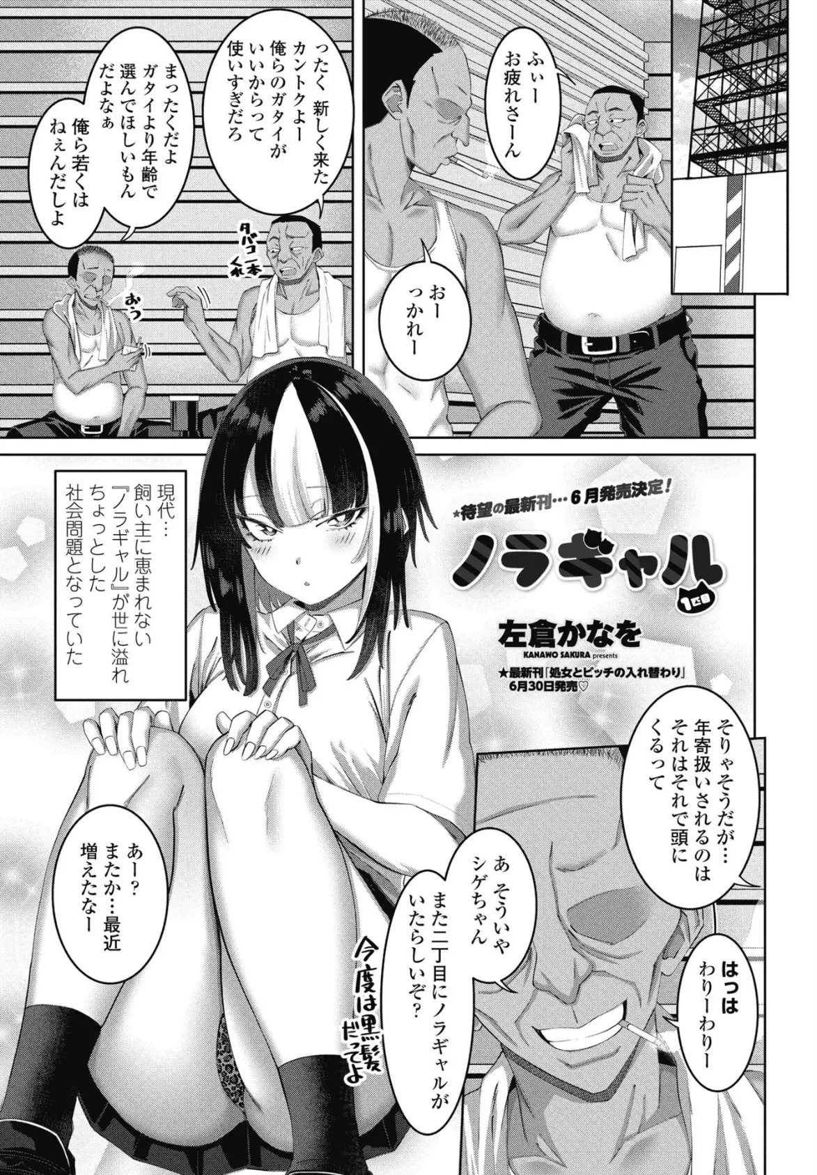 ノラギャル 1匹目