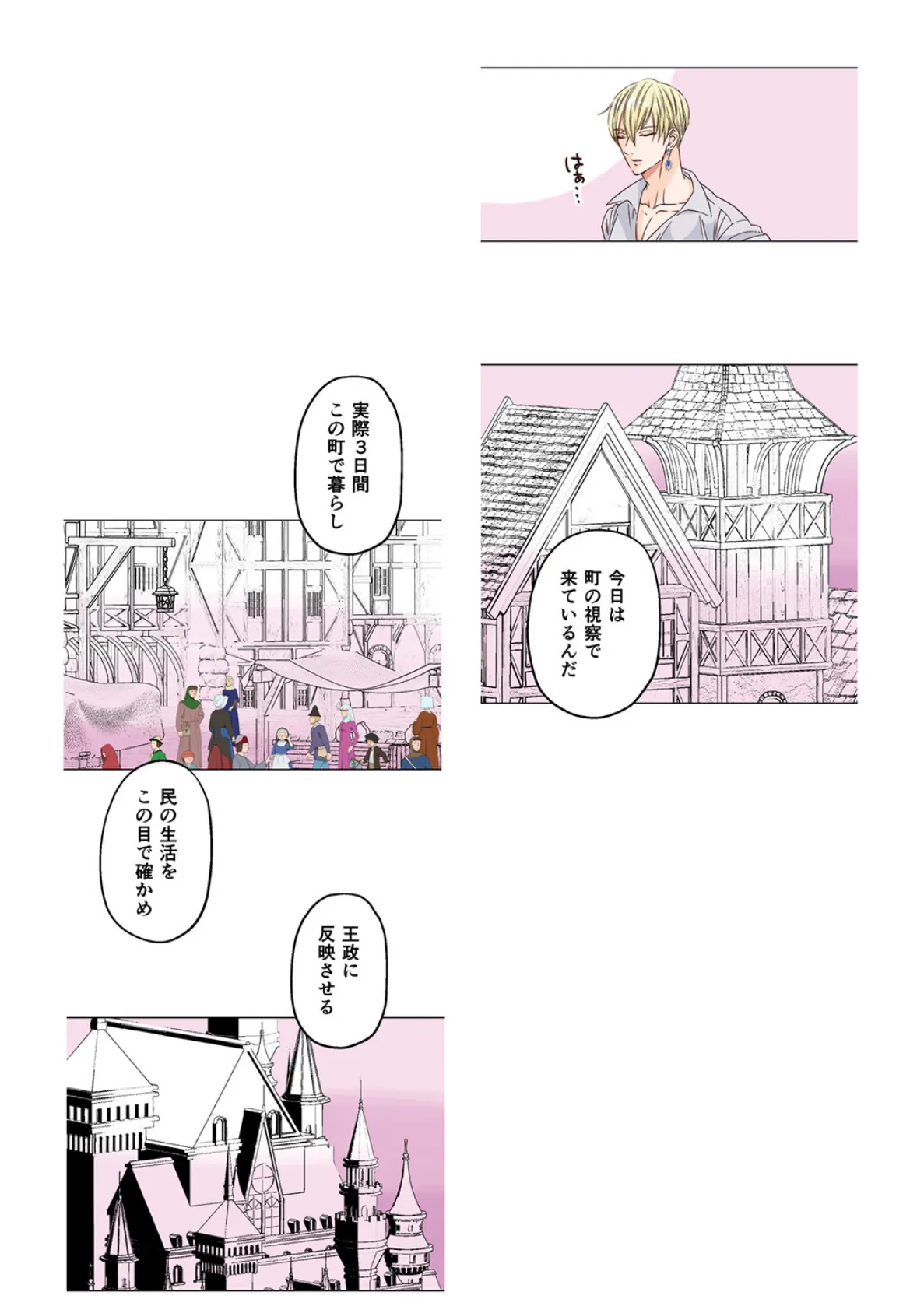 ヤンデレ王子(兄)が、 純情バカな俺様王子(弟)を 夜●いしたようです。【R18版】(1) 10ページ