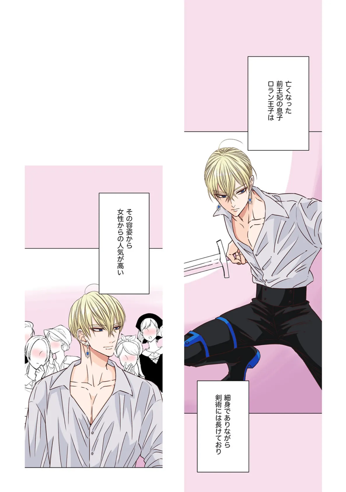 ヤンデレ王子(兄)が、 純情バカな俺様王子(弟)を 夜●いしたようです。【R18版】(1) 5ページ