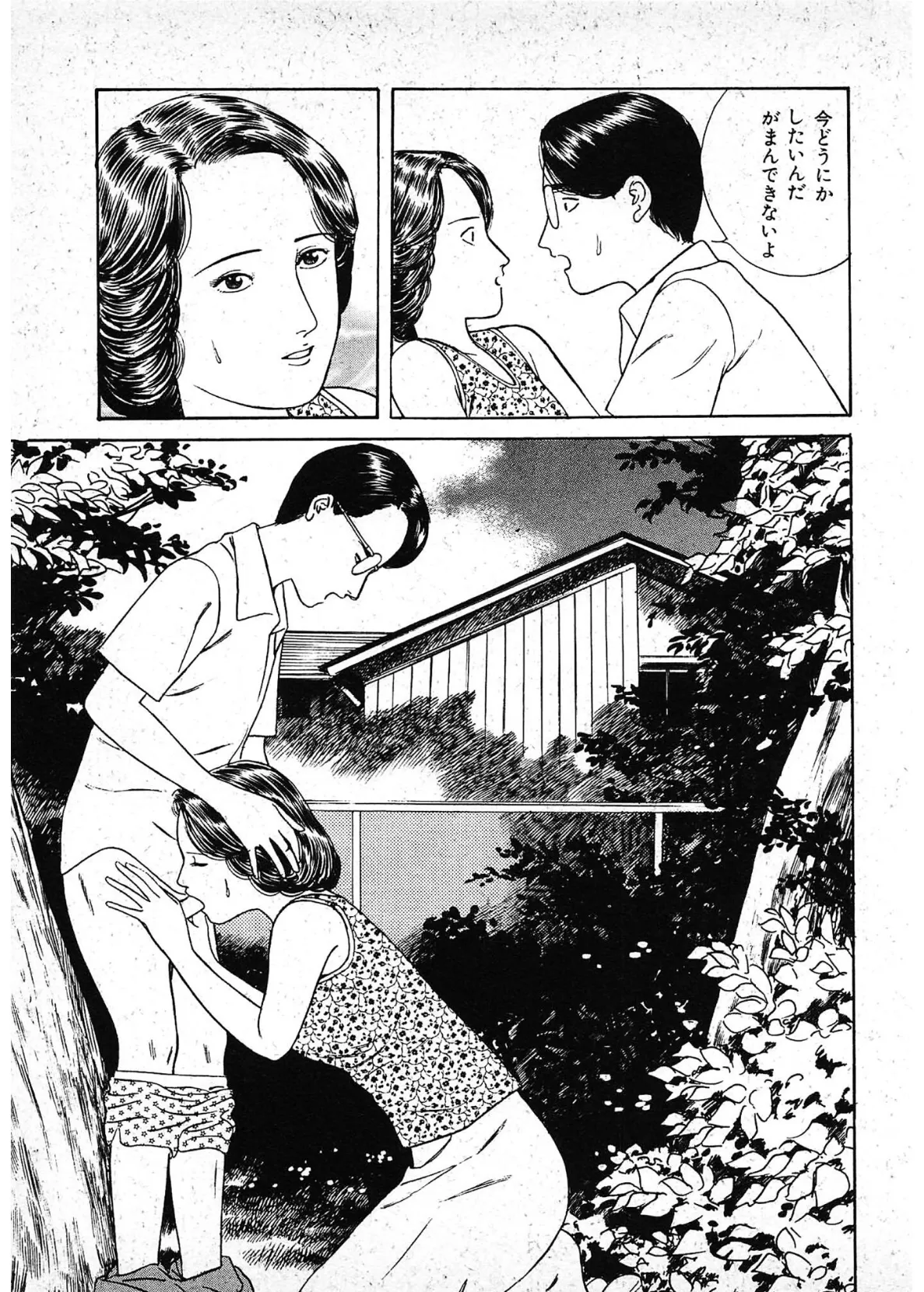 背徳への誘い＜描き下ろし原画入り特別版＞・鶴永いくお官能コレクション14 13ページ