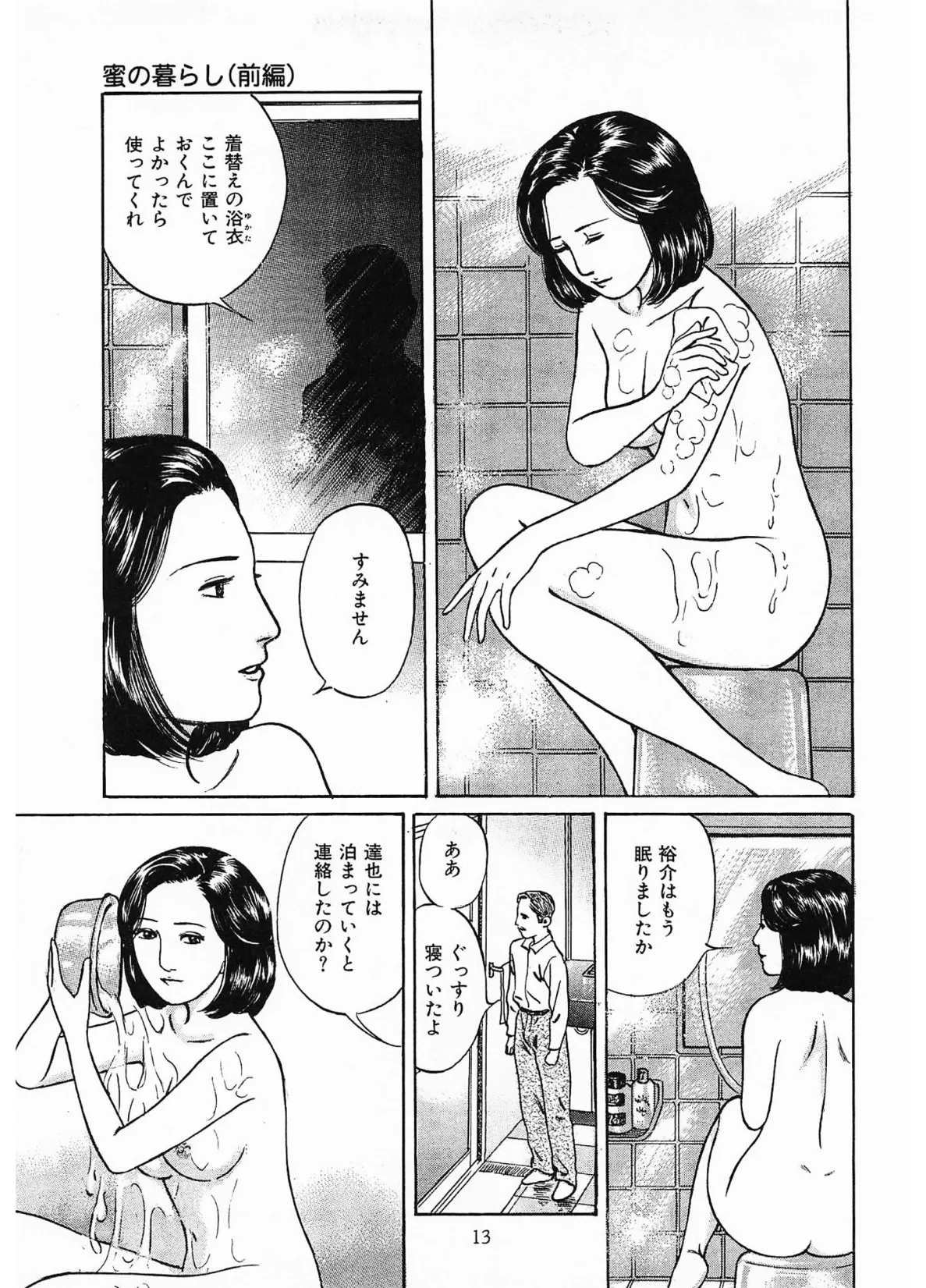 家族の肖像3<描き下ろし原画入り特別版>・鶴永いくお官能コレクション6 13ページ