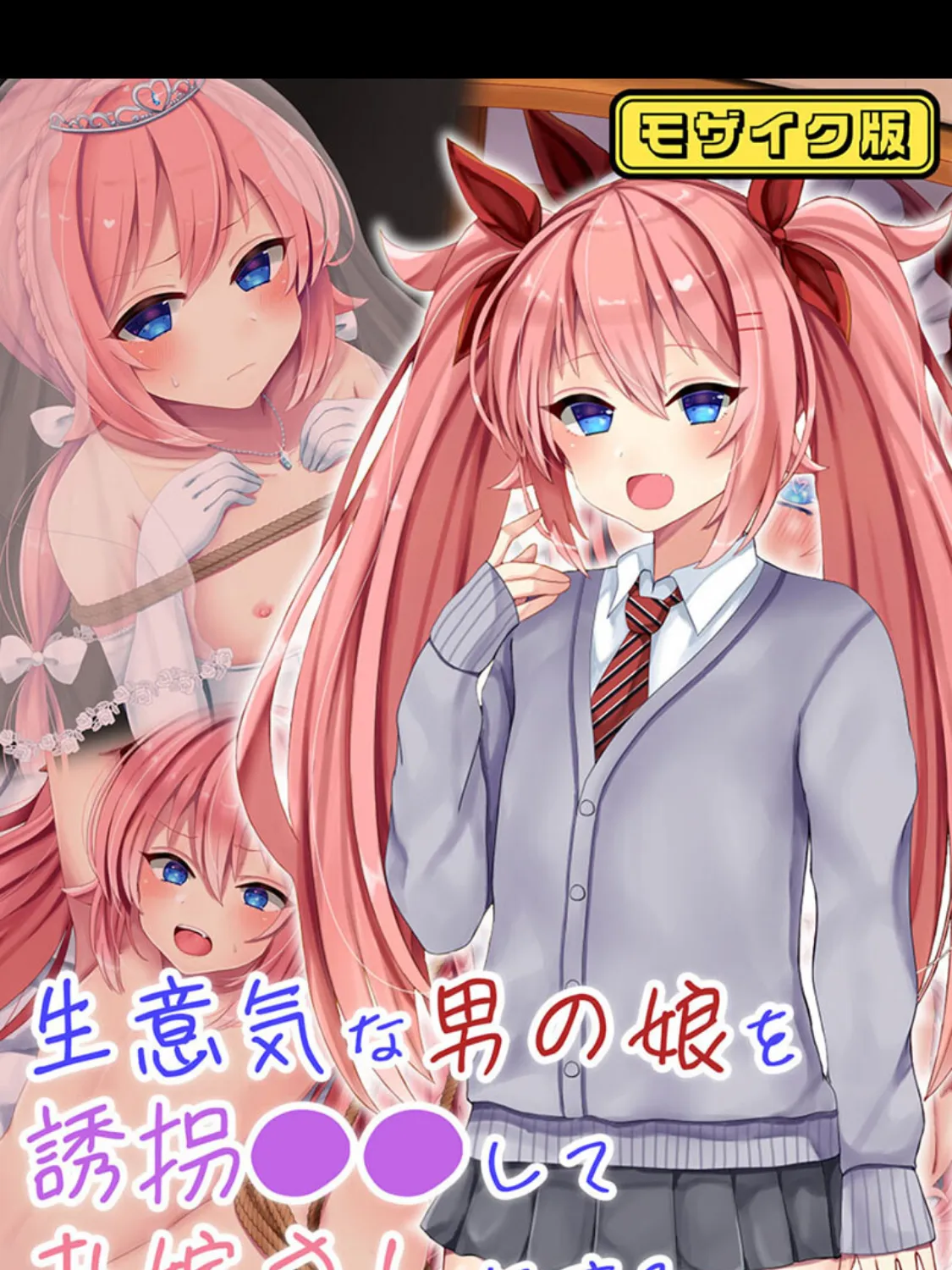 生意気な男の娘を誘拐●●してお嫁さんにする モザイク版