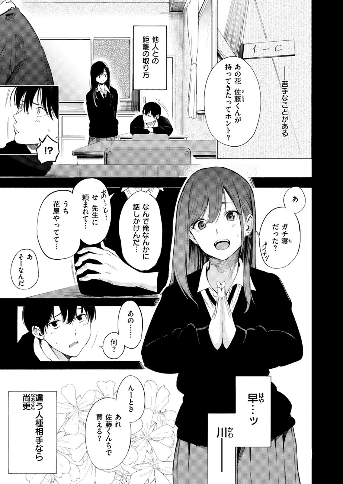 ゼラニウム 3ページ