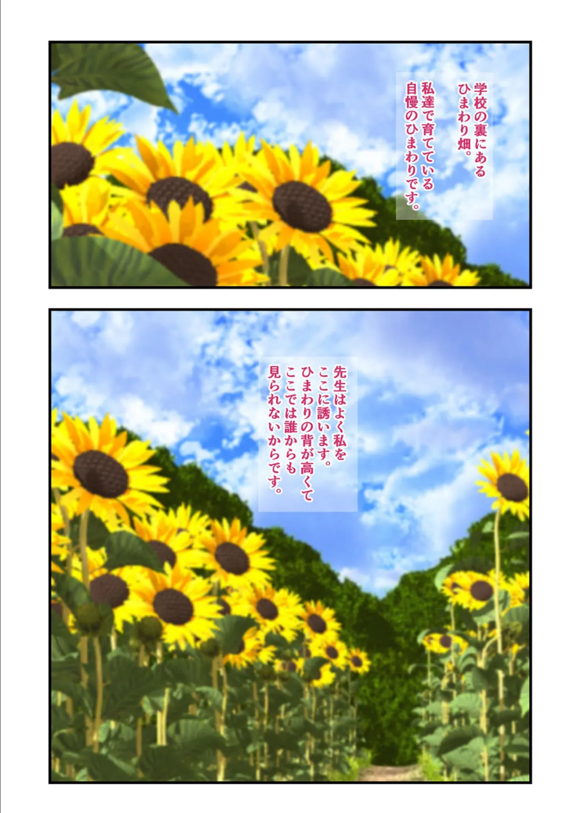 夏の夜伽-客間で、ひまわり畑で、川原で…純朴な女の子と汗だくになりながら肌を重ね…- (3) 4ページ