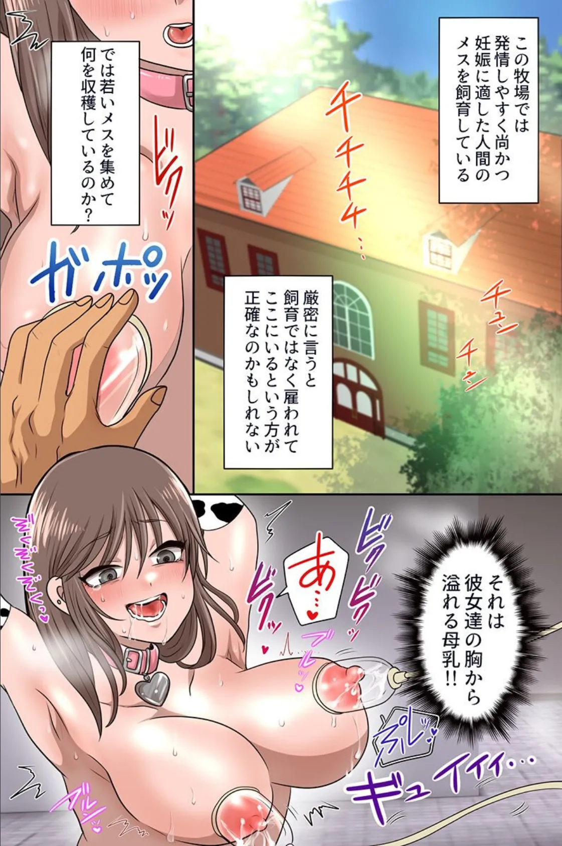 牧場種付け体験！マイクロビキニの爆乳美女たちにガンガン生出ししてイカせまくる！！ 4ページ