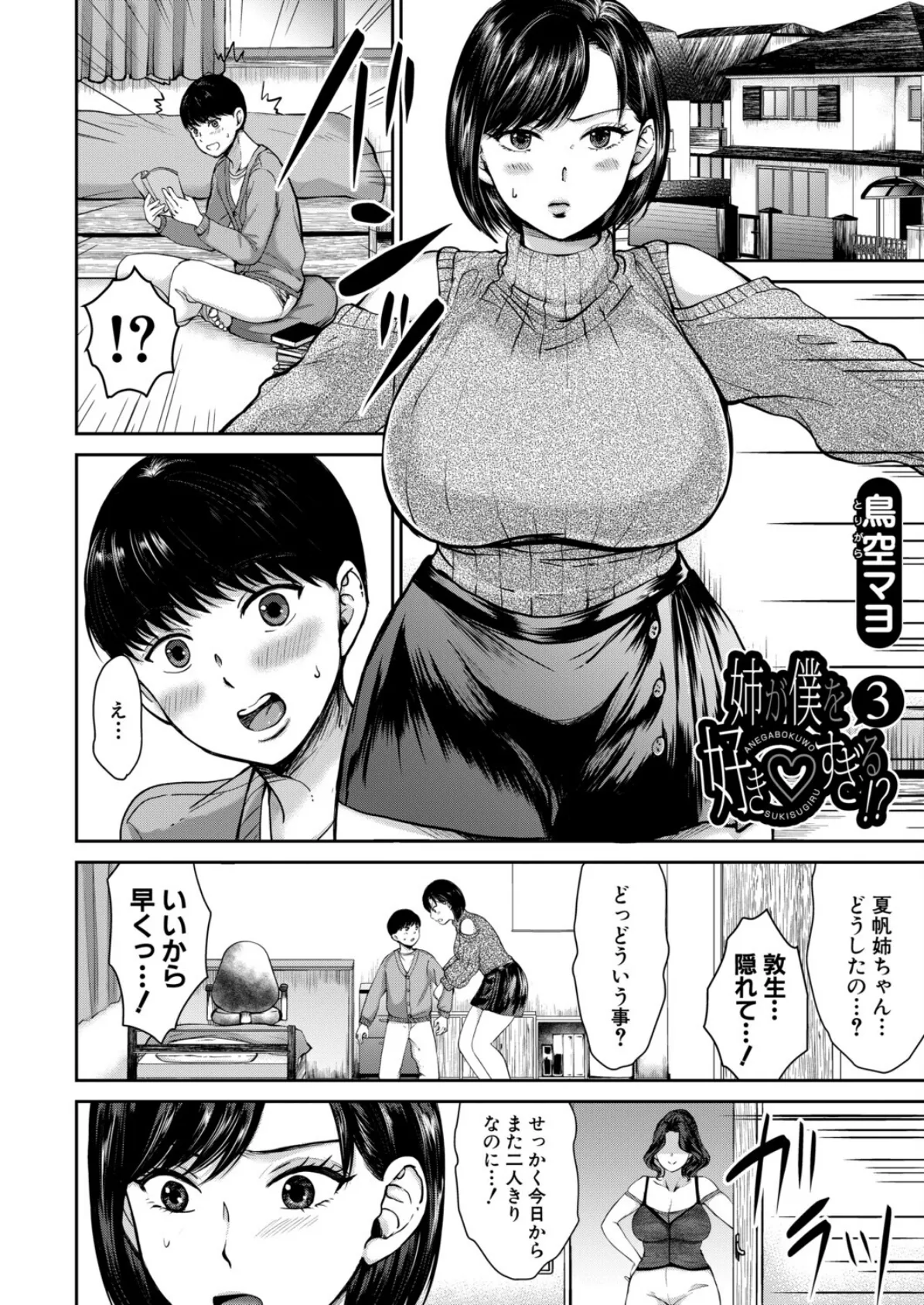 姉が僕を好き▽すぎる！？3 （鳥空マヨ） 2ページ